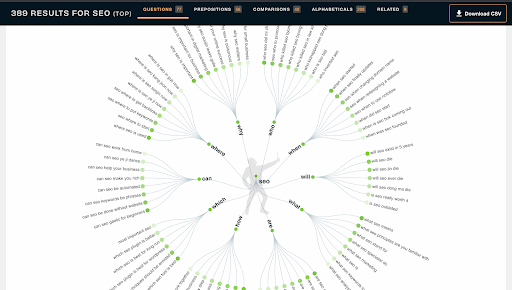 Answer the Public Results for SEO