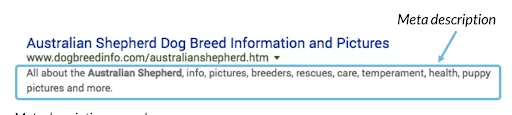 an example of a meta description to show how Google CTRs matter